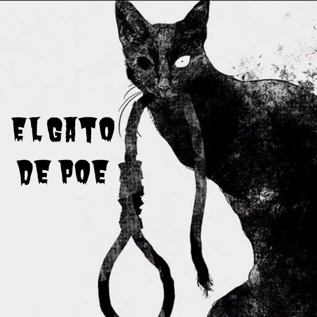 El gato de Allan Poe