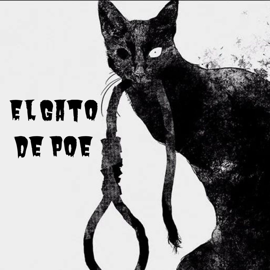 El gato de Poe